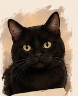 Illustration des schwarzen Katers Samy